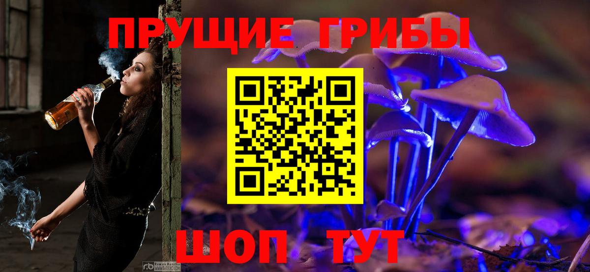 Псилоцибиновые грибы MAGIC MUSHROOMS Зеленогорск